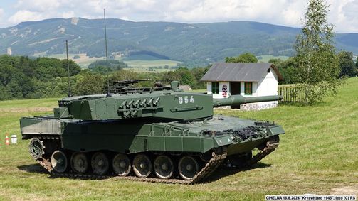 Leopard24w